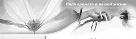 Персея