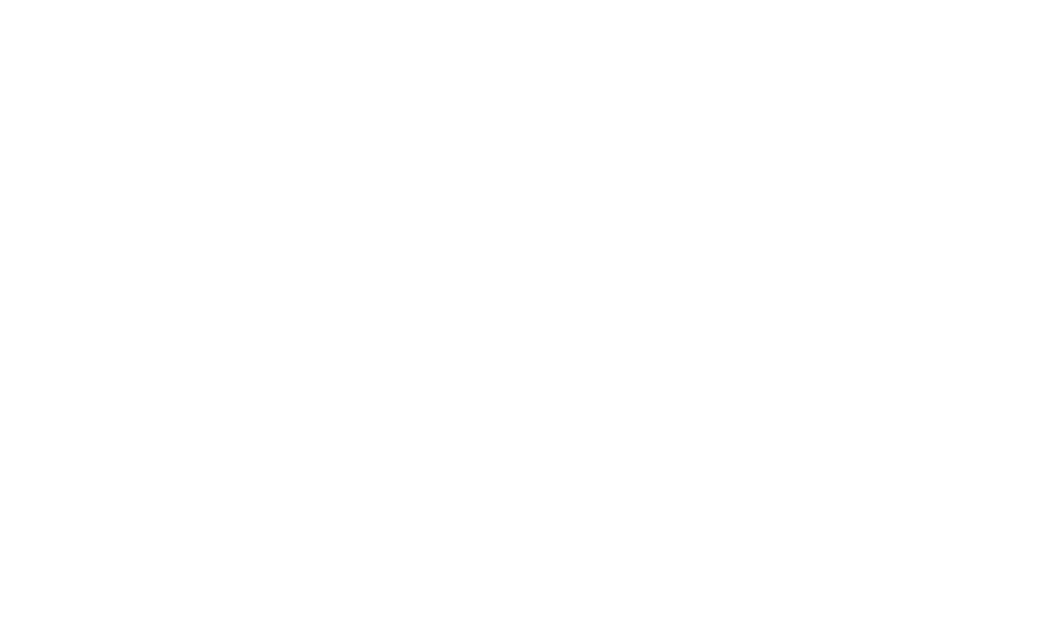 Невская ратуша